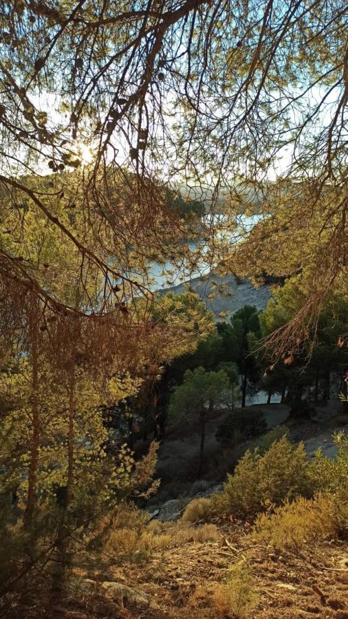 Ardales House Βίλα Μάλαγα Εξωτερικό φωτογραφία